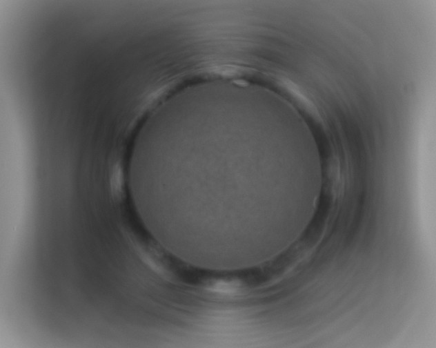 X0000113540500200909250929