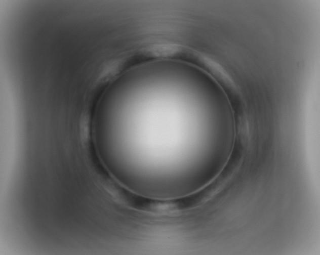 X0000113540501200909250929