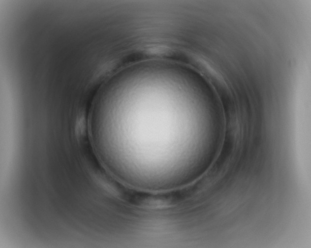 X0000113540502200909250929