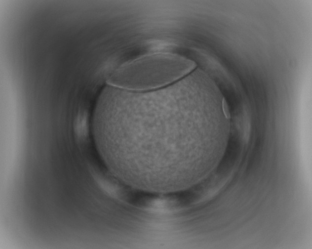 X0000113540504200909250929