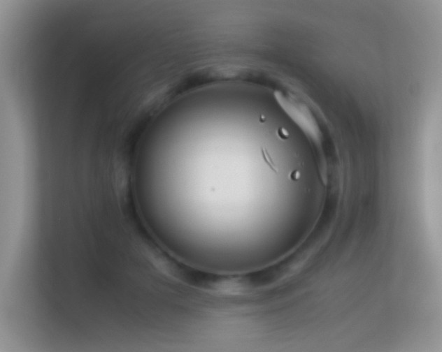 X0000113540505200909250929