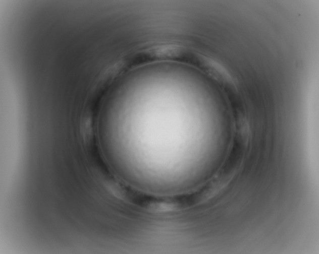 X0000113540506200909250929