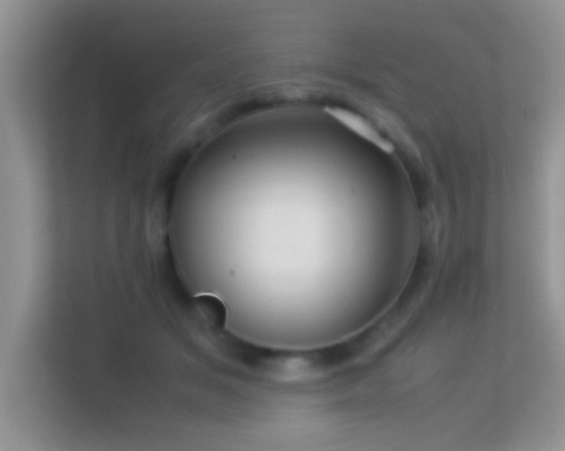 X0000113540509200909250929