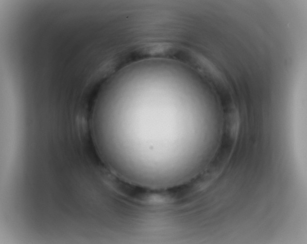 X0000113540510200909250929