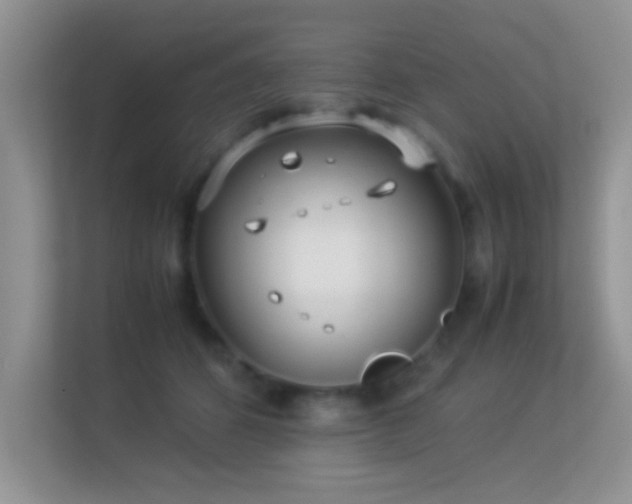 X0000113540512200909250929