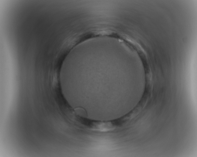 X0000113540517200909250929