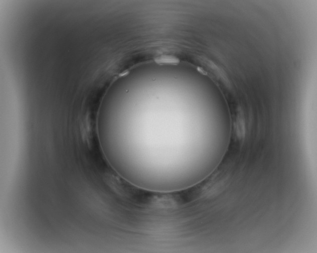 X0000113540520200909250929