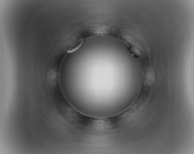 X0000113540521200909250929