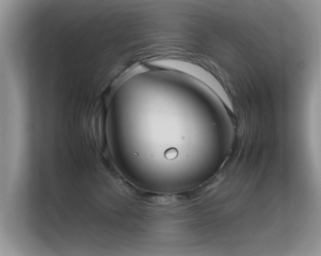 X0000113540524200909250929