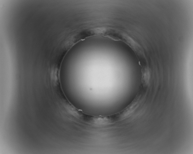 X0000113540525200909250929