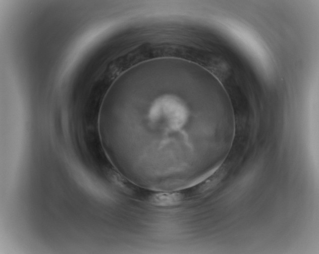 X0000113540526200909250929