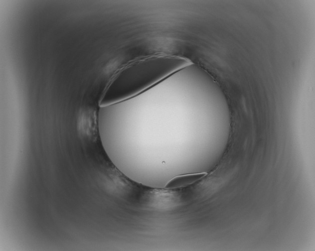 X0000113540528200909250929