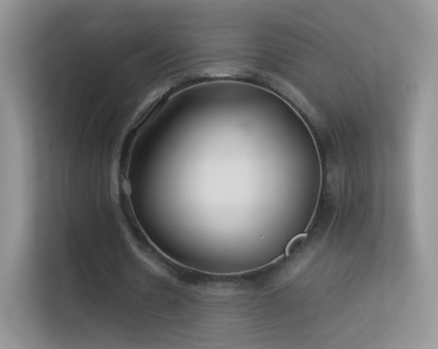 X0000113540530200909250928