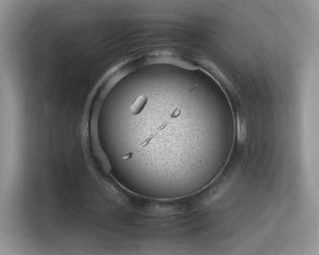 X0000113540531200909250928