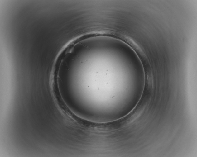 X0000113540532200909250928