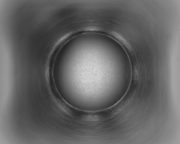 X0000113540535200909250928