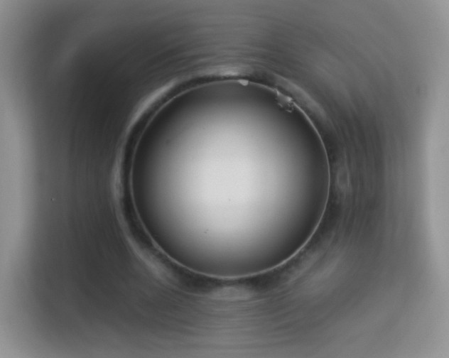 X0000113540536200909250928