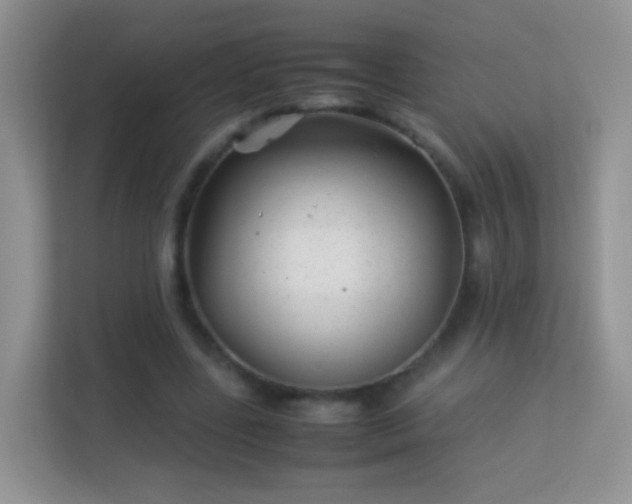 X0000113540539200909250928