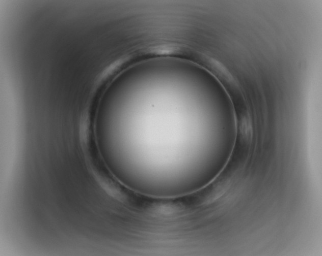 X0000113540540200909250928