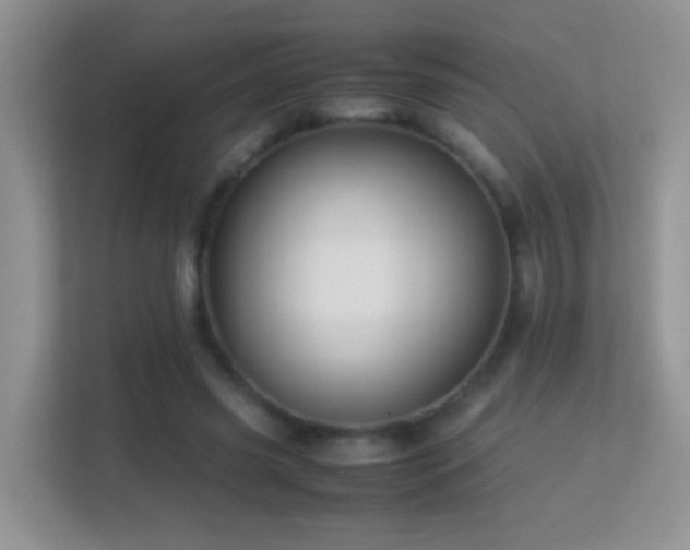 X0000113540541200909250928