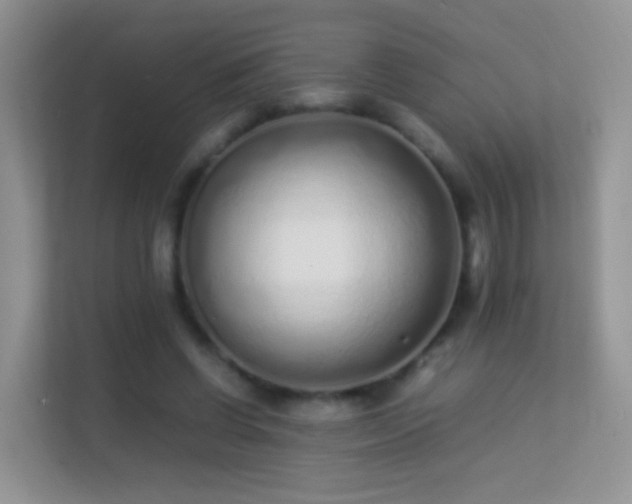 X0000113540542200909250928