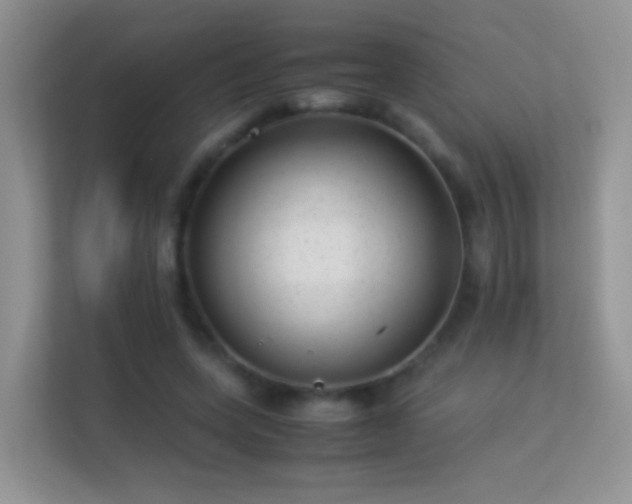 X0000113540543200909250928