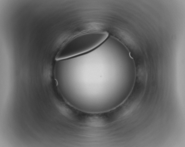 X0000113540544200909250928