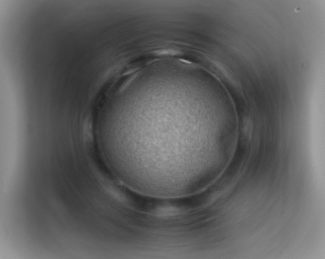 X0000113540547200909250928