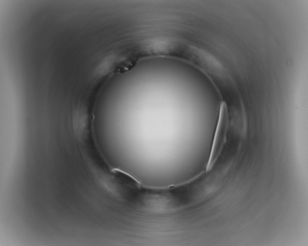 X0000113540548200909250928