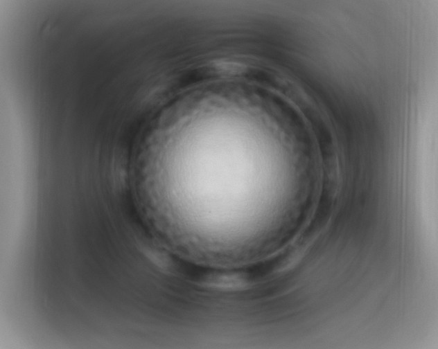 X0000113540553200909250928