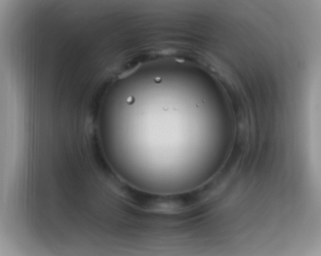 X0000113540555200909250928