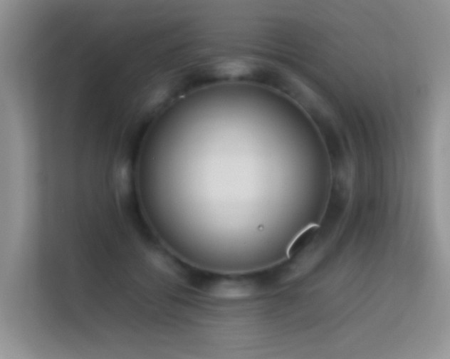 X0000113540556200909250928