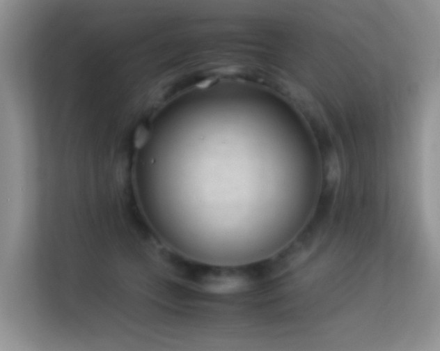 X0000113540559200909250928