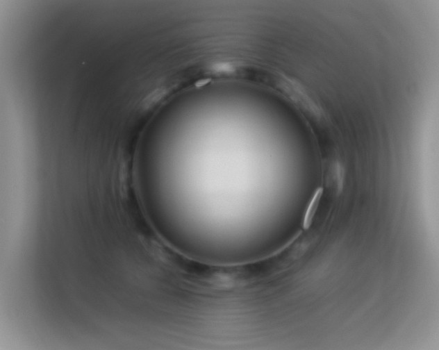 X0000113540560200909250929