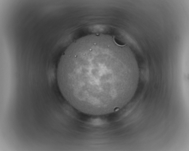 X0000113540561200909250929