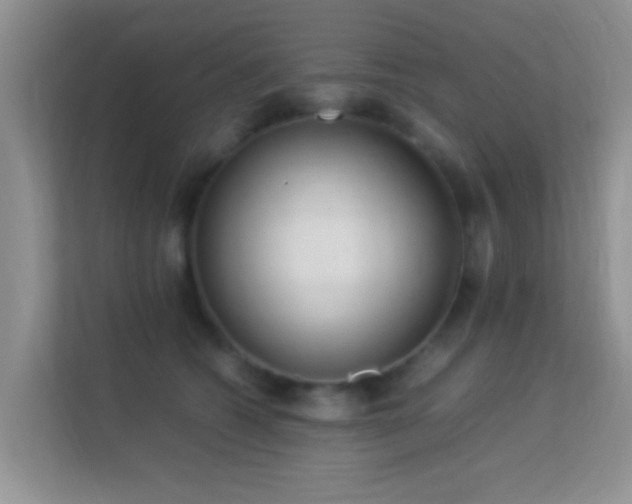 X0000113540562200909250929