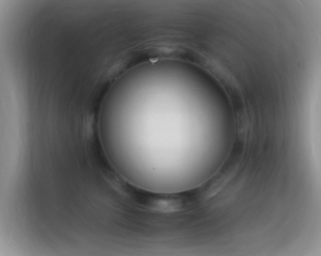 X0000113540563200909250929