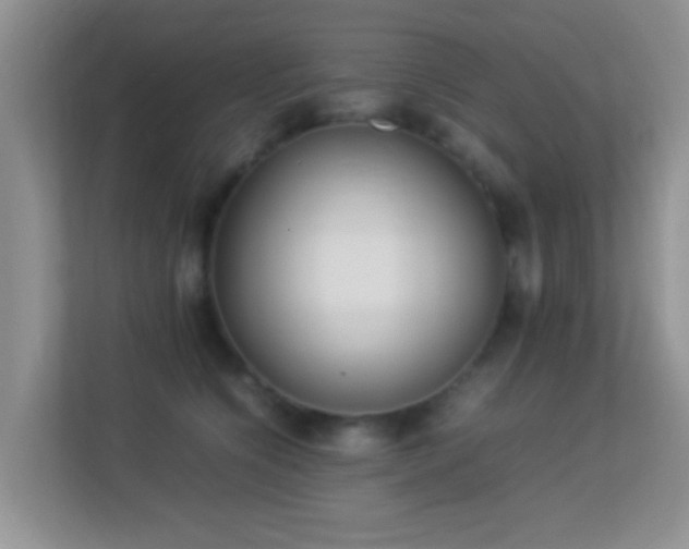 X0000113540564200909250929