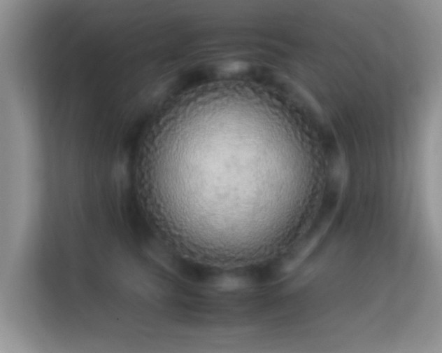 X0000113540565200909250929