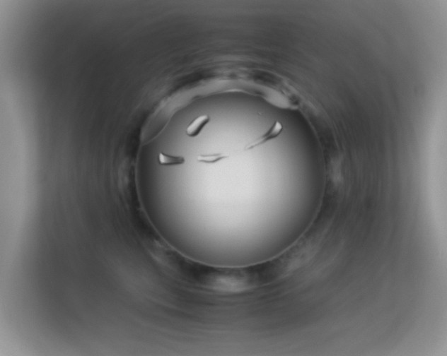 X0000113540567200909250929