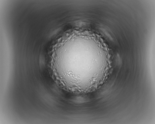 X0000113540569200909250929