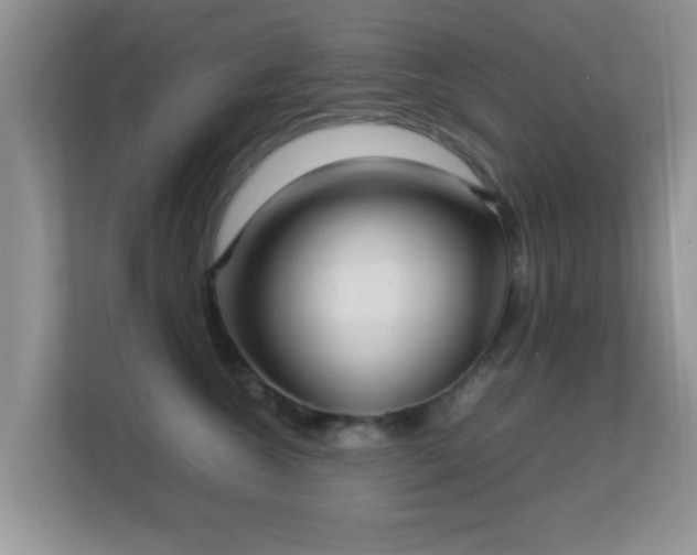 X0000113540572200909250929