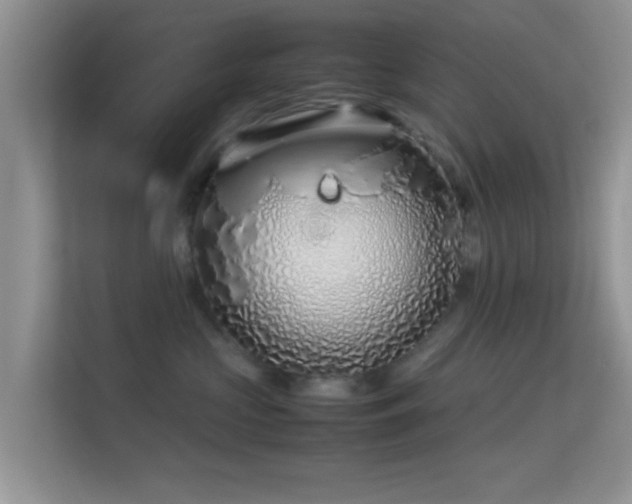 X0000113540573200909250929