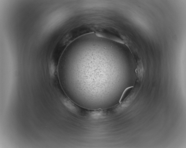 X0000113540574200909250929