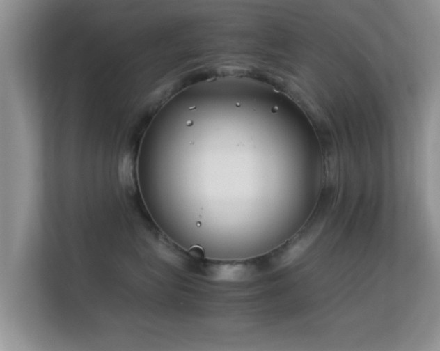 X0000113540575200909250929