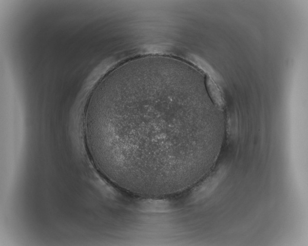 X0000113540577200909250928