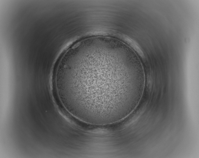 X0000113540578200909250928