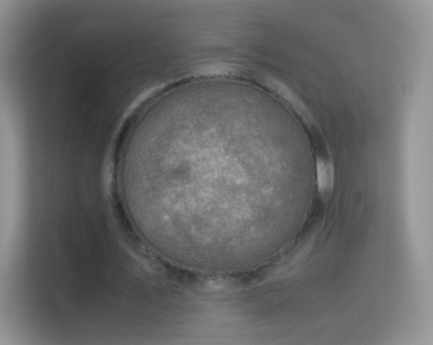 X0000113540579200909250928