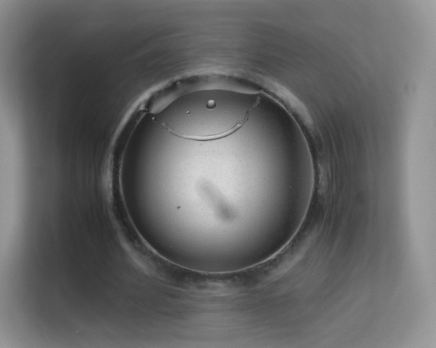 X0000113540580200909250928