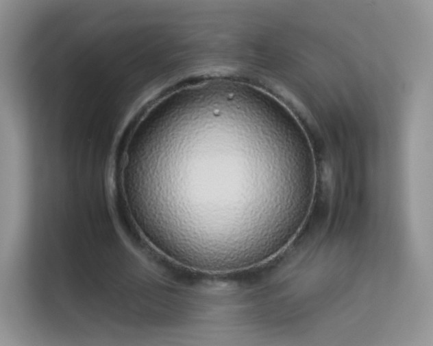 X0000113540582200909250928